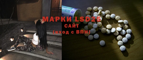 хмурый Алексин