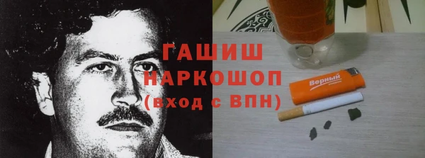 хмурый Алексин