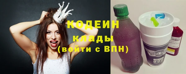 гашик Ладушкин