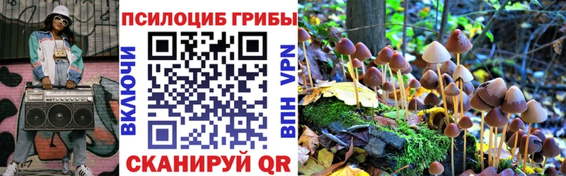 Галлюциногенные грибы прущие грибы  Слюдянка 